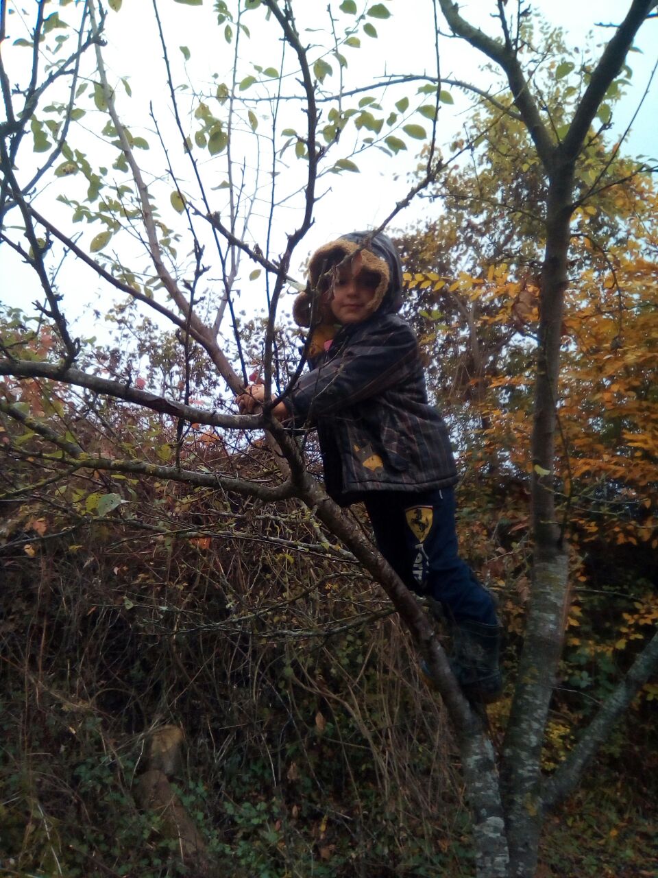 IMG-20171108-WA0023.jpg