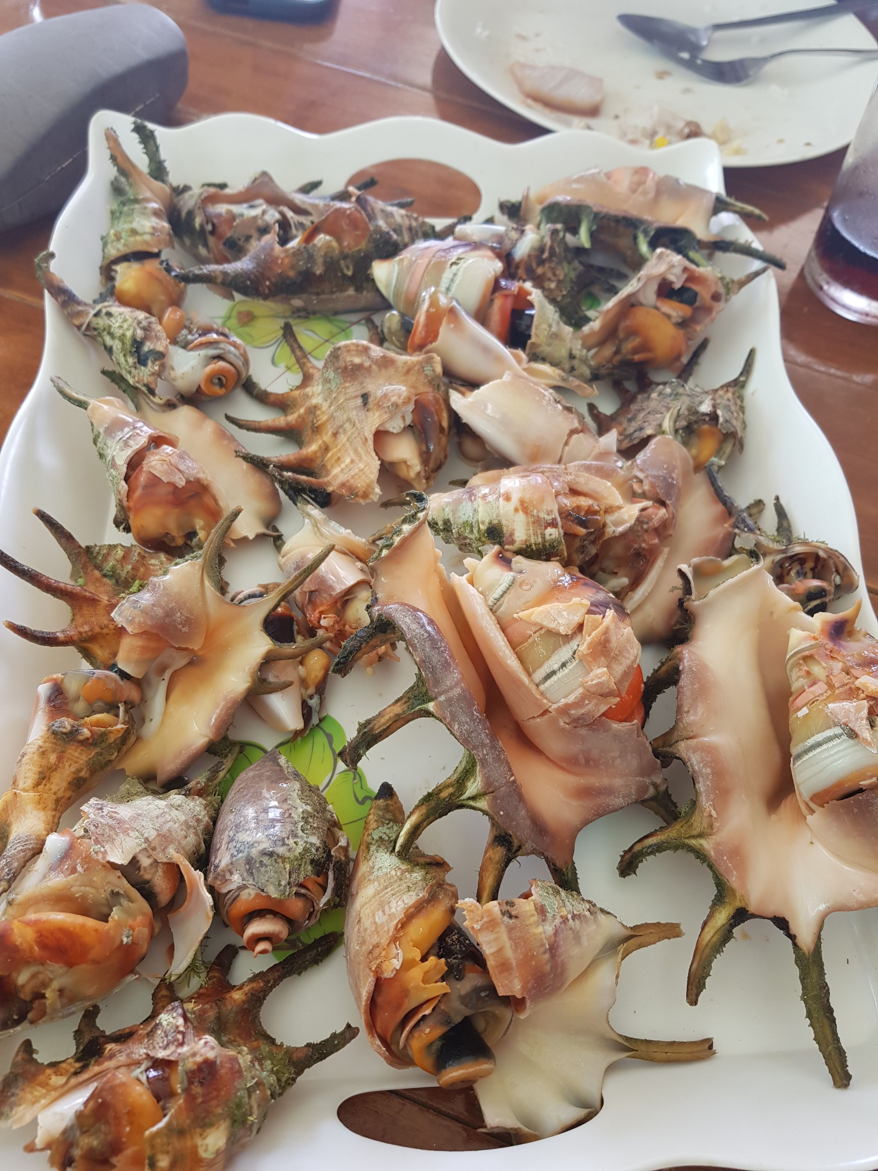 20180303_111517.jpg