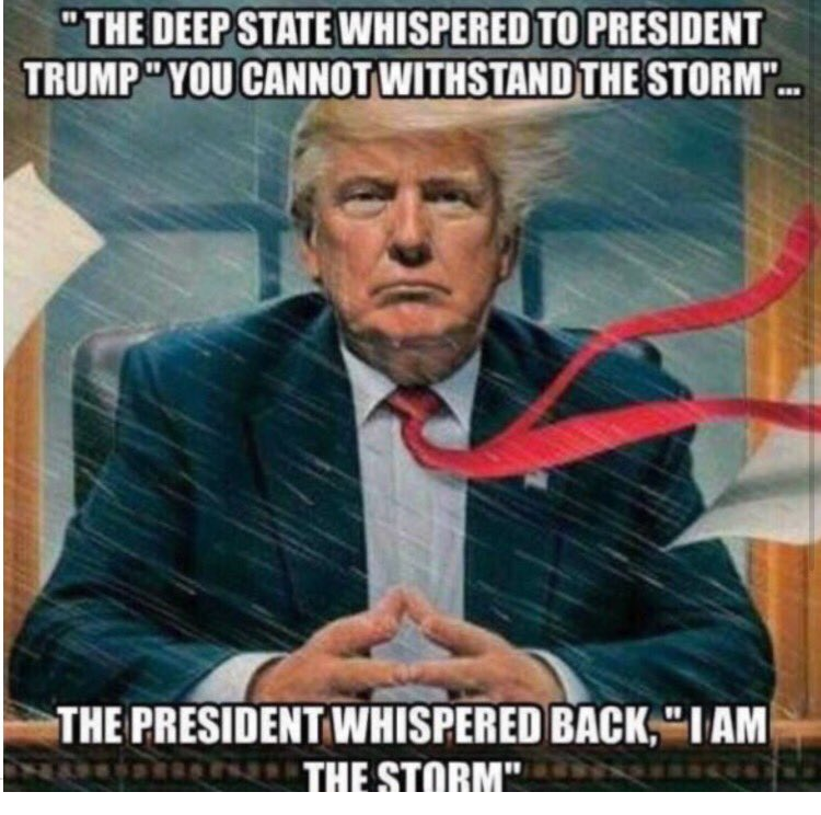 Qanon Trump I am the storm.png