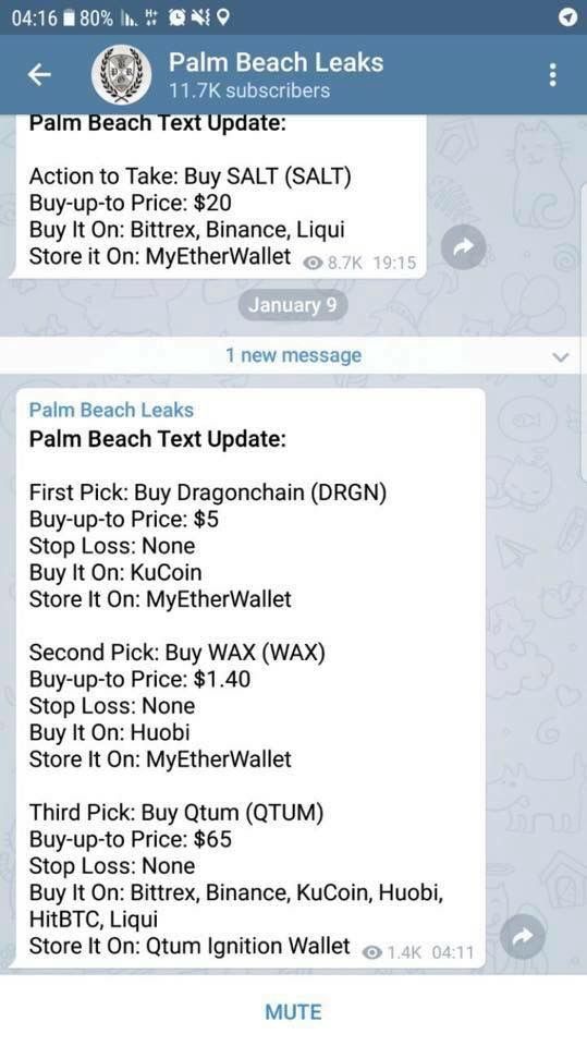 Palm beach confidential leak ethereum whitepaper by vitalik buterin