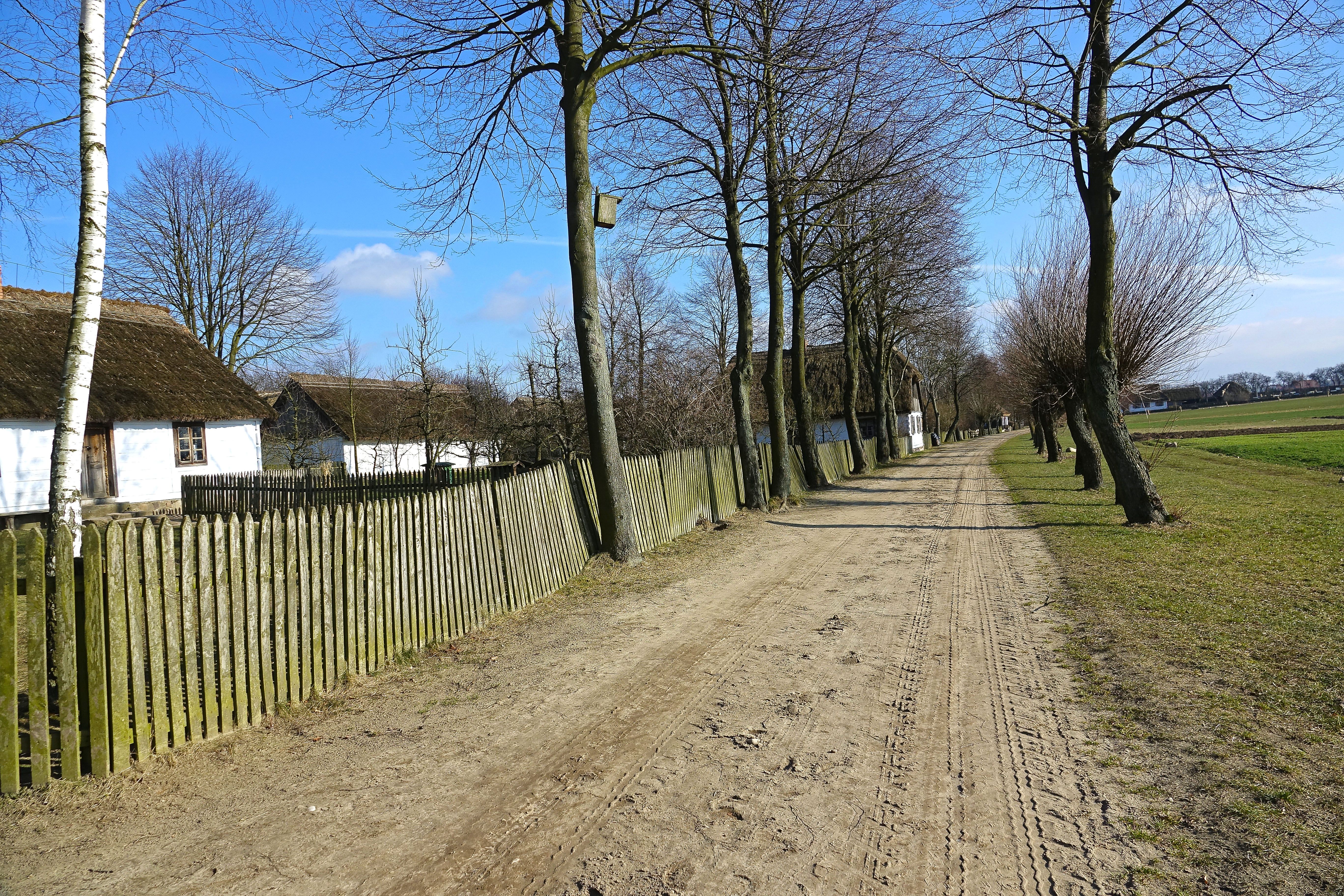 DSC01747.JPG