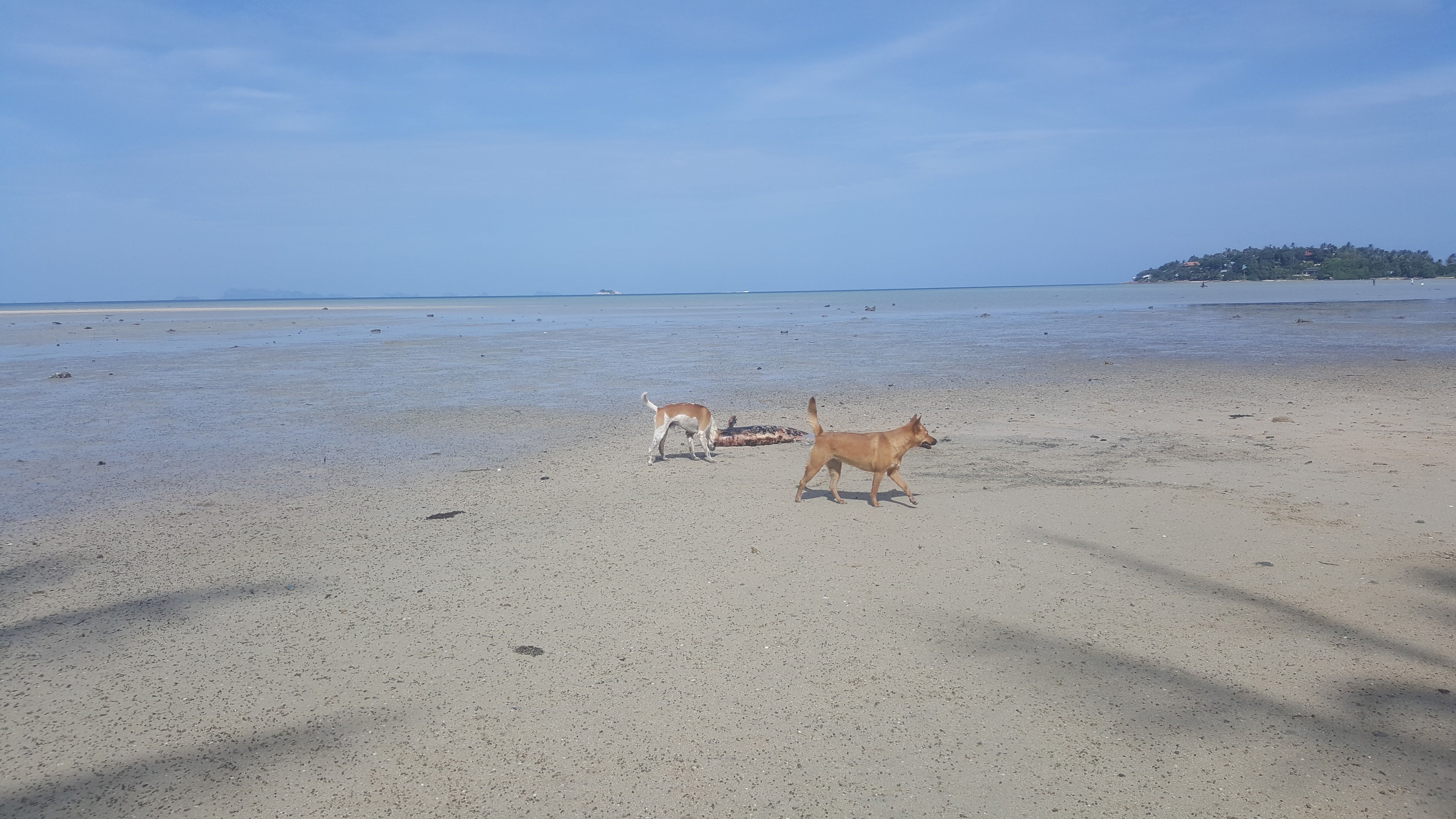 20170829_091434.jpg