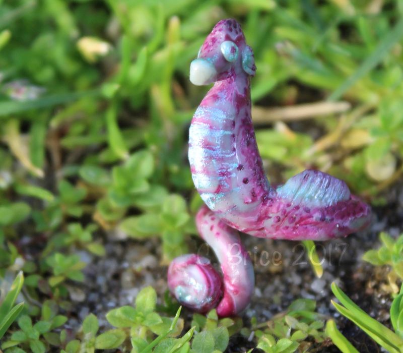 polymer clay seahorse.jpg