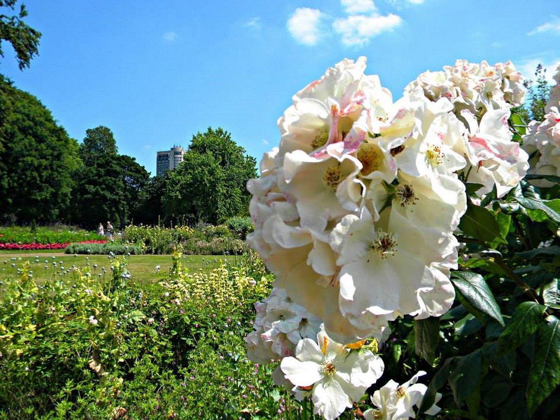 picnicking-in-hyde-park-london-girlinchief-3.jpg