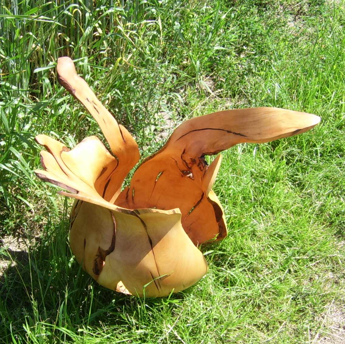 Birnbaumbirne_02.jpg
