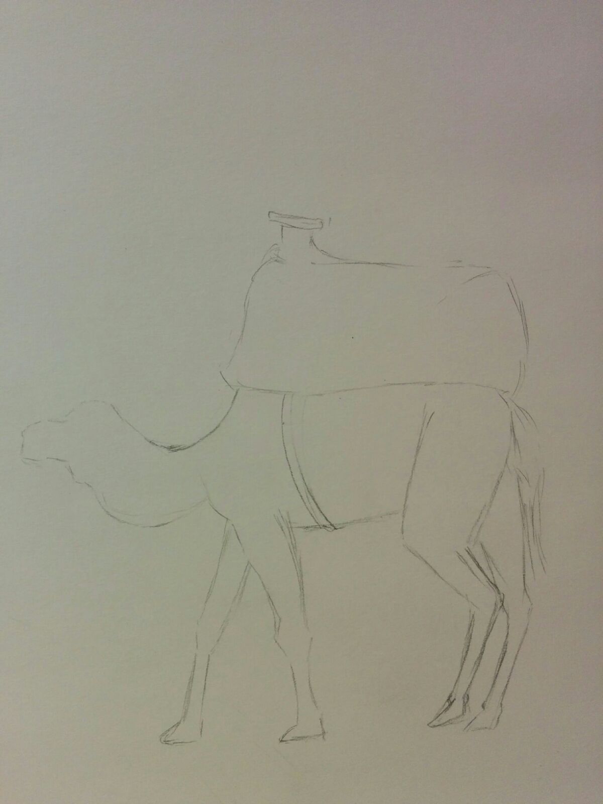 WhatsApp Image 2018-04-08 at 17.52.25 (4).jpeg