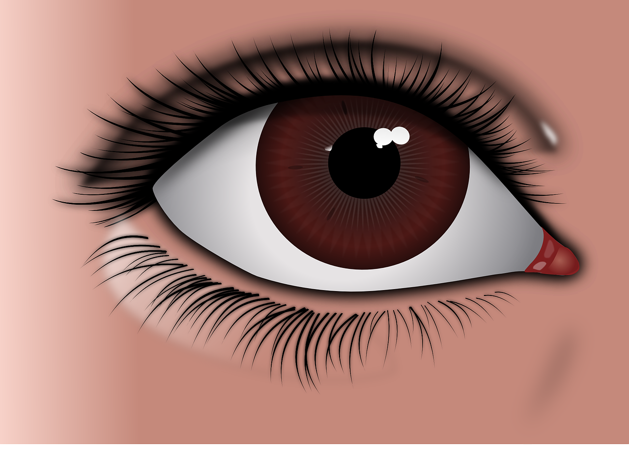 eye-157815_1280.png