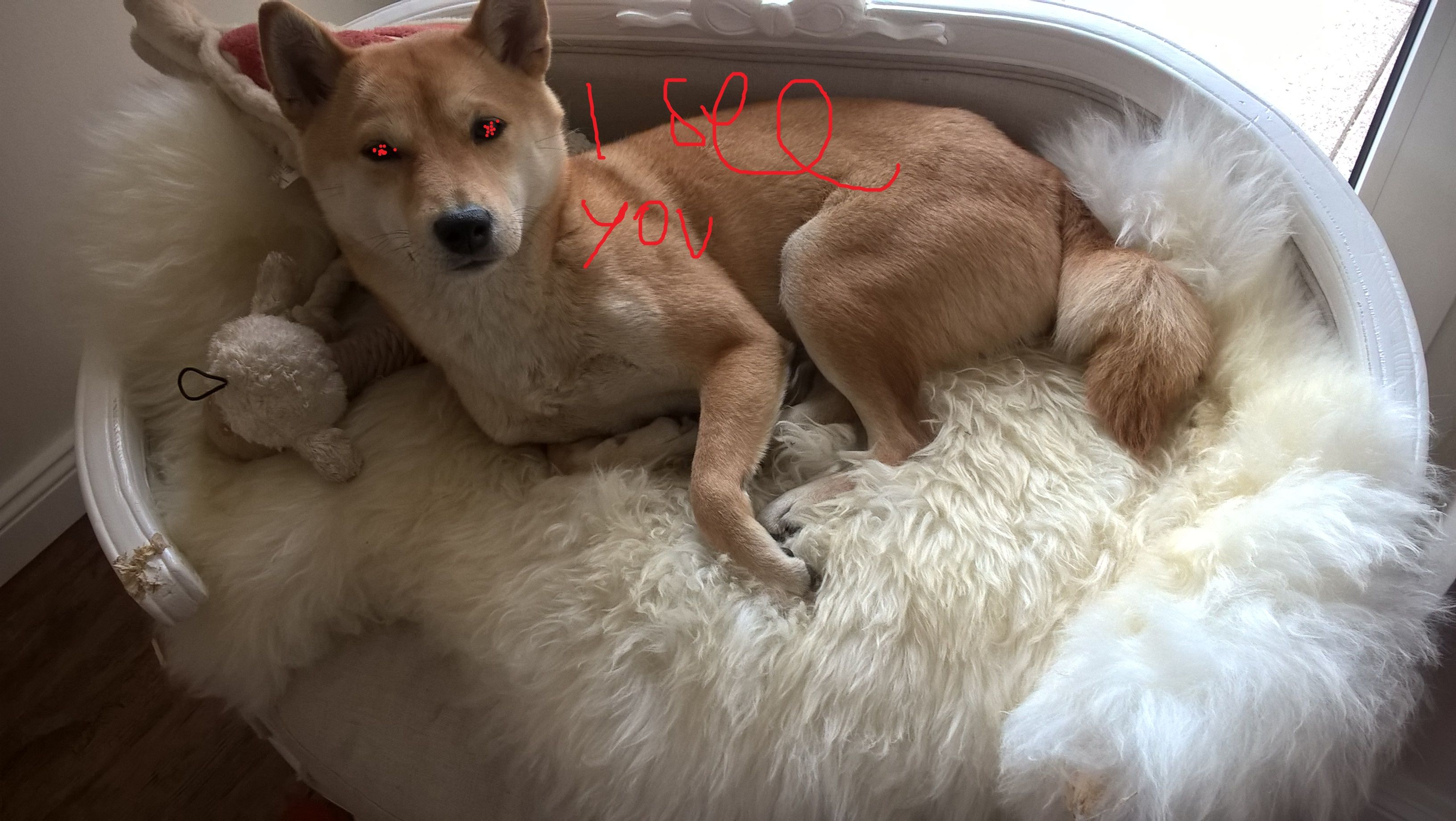 WP_20170412_12_25_22_Pro.jpg