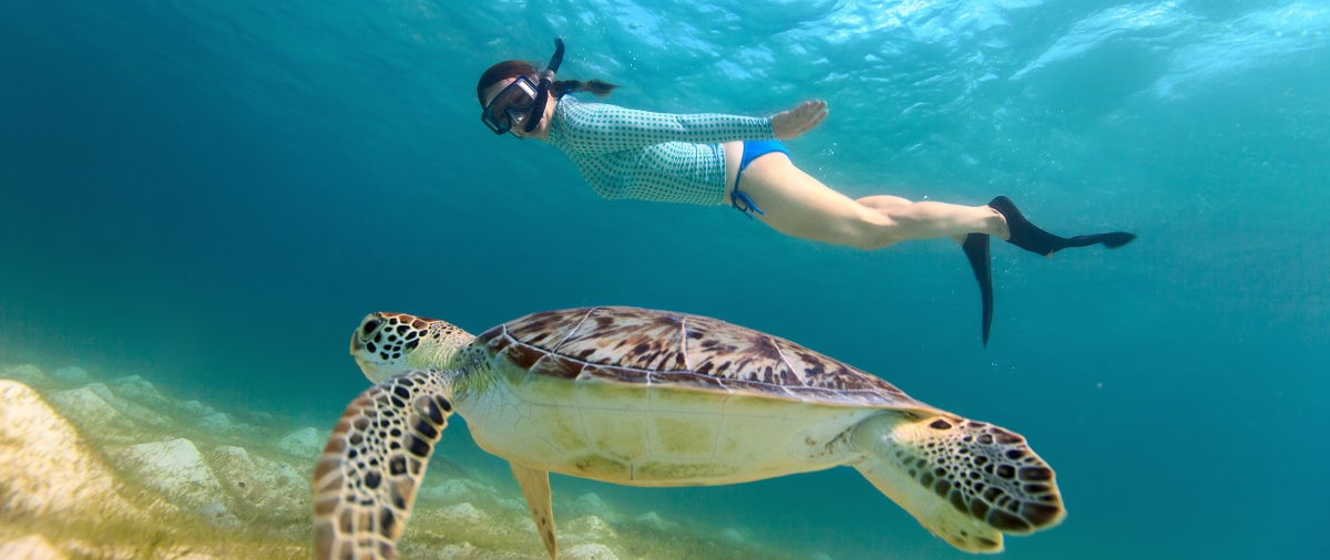 snorkeling-buceo-padi-scuba-diving-arrecife-divers-los-roques-playas-tortugas-esnorquel.jpg