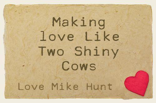 Making love Like Two Shiny Cows