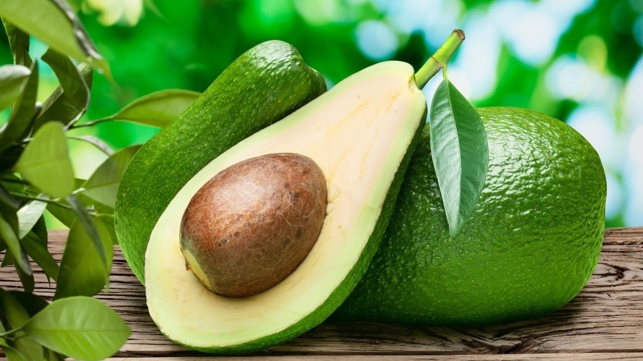 avocado-leukemia-treatment.jpg