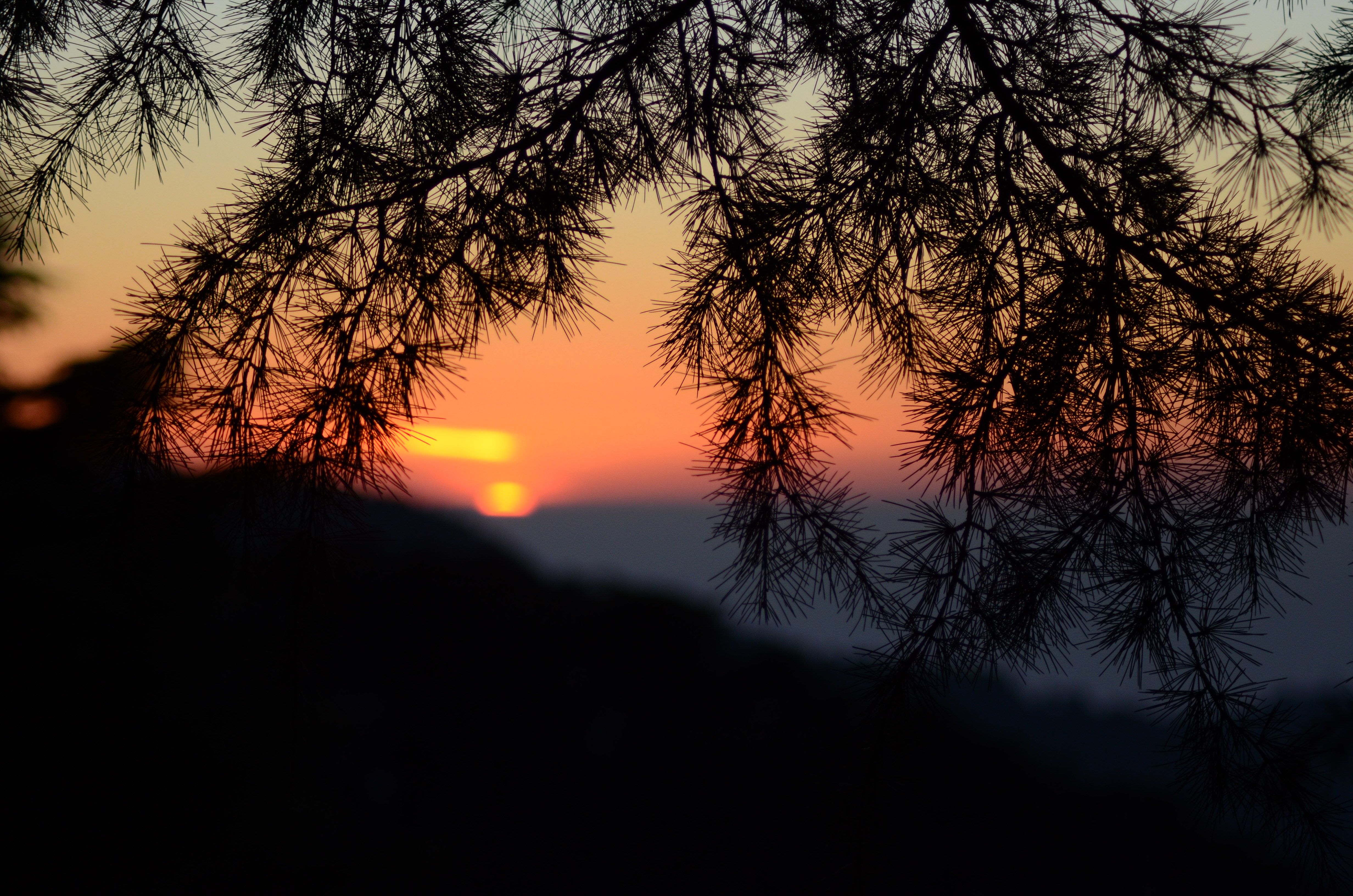 DSC_1215.JPG