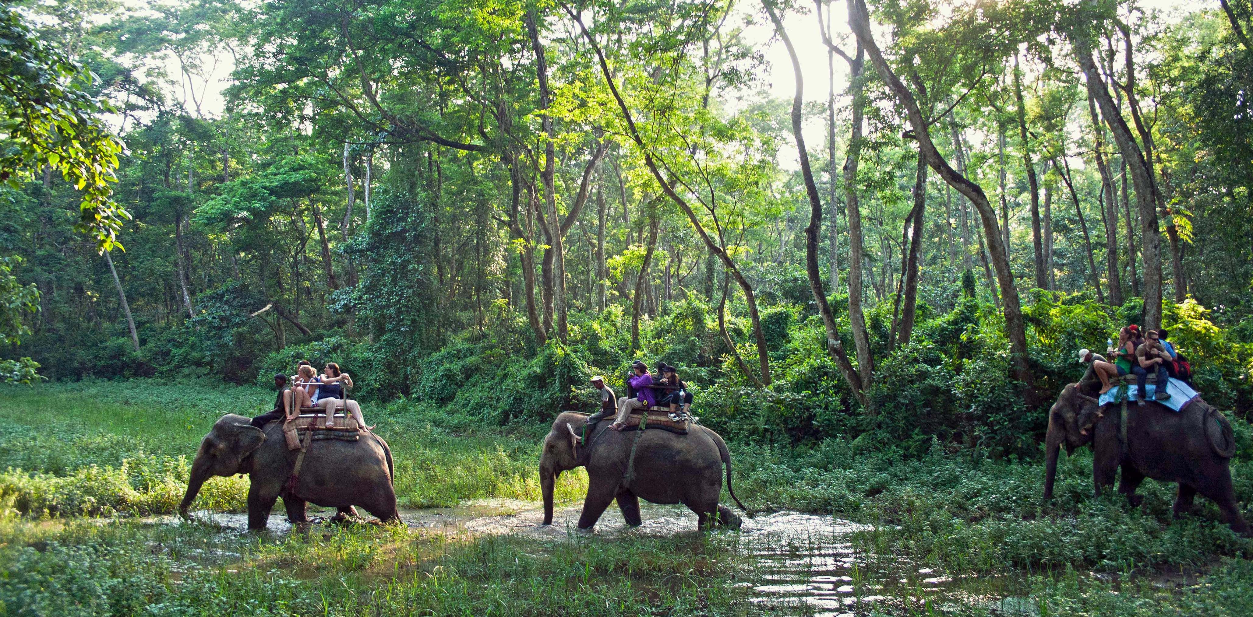 Chitwan.National.Park_.original.2800.jpg