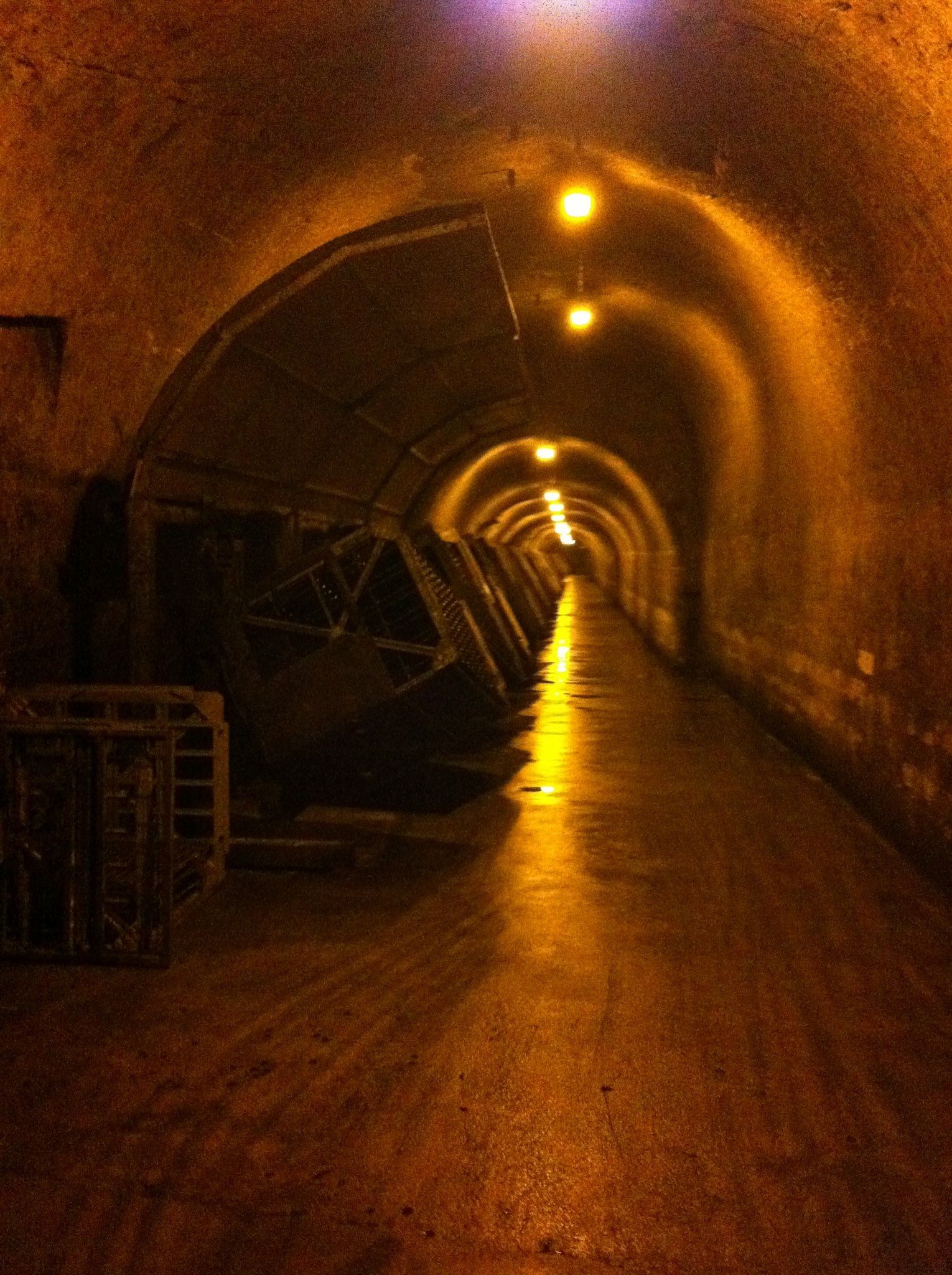 Come to visit Mercier's wine cellar with Mrs Significant !! — Steemit