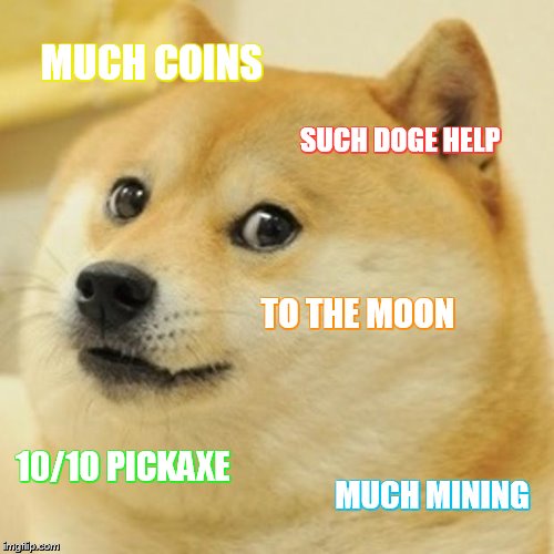 doge.jpg