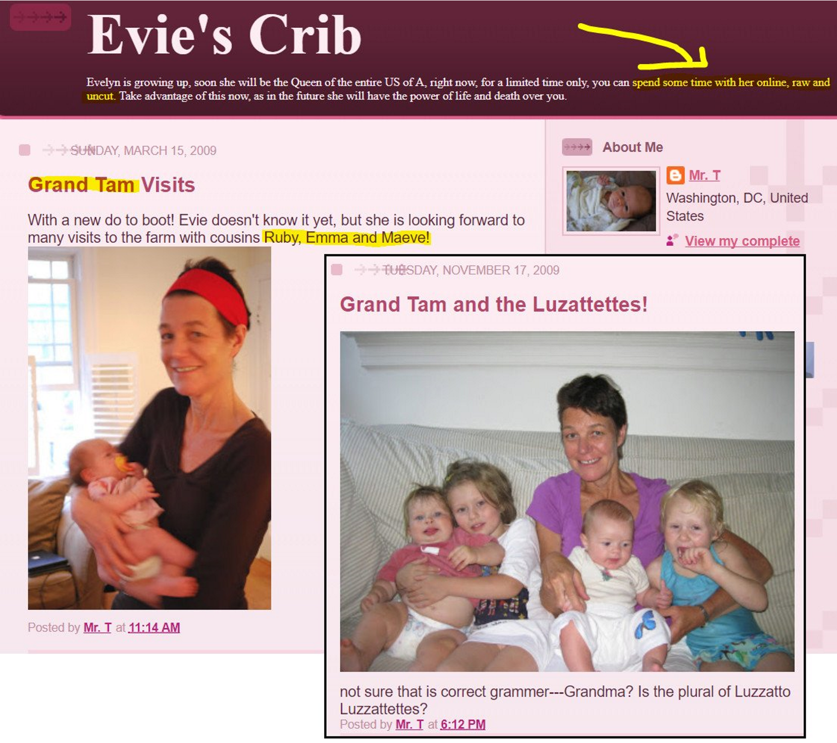 Vizitnlo ru. Evie’s Crib blog. Rabbit Pizzagate.