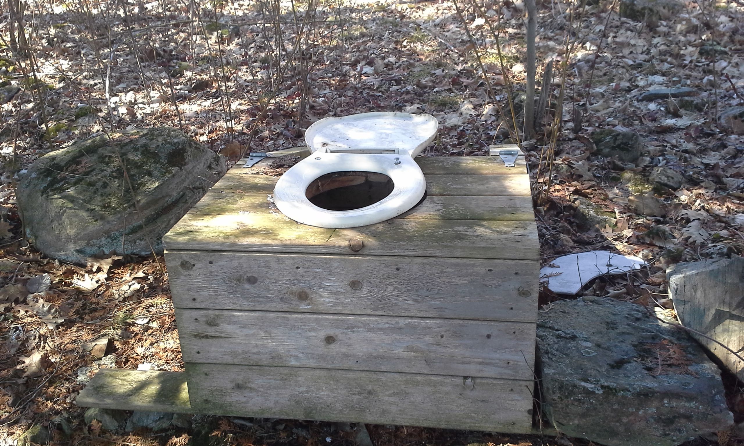20160419_103242.jpg
