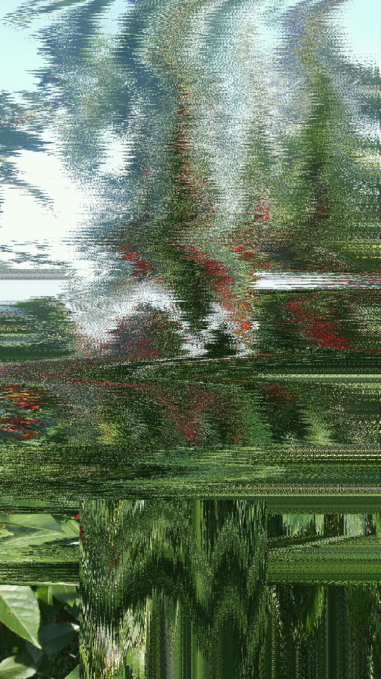 20170806205551_glitch.jpg