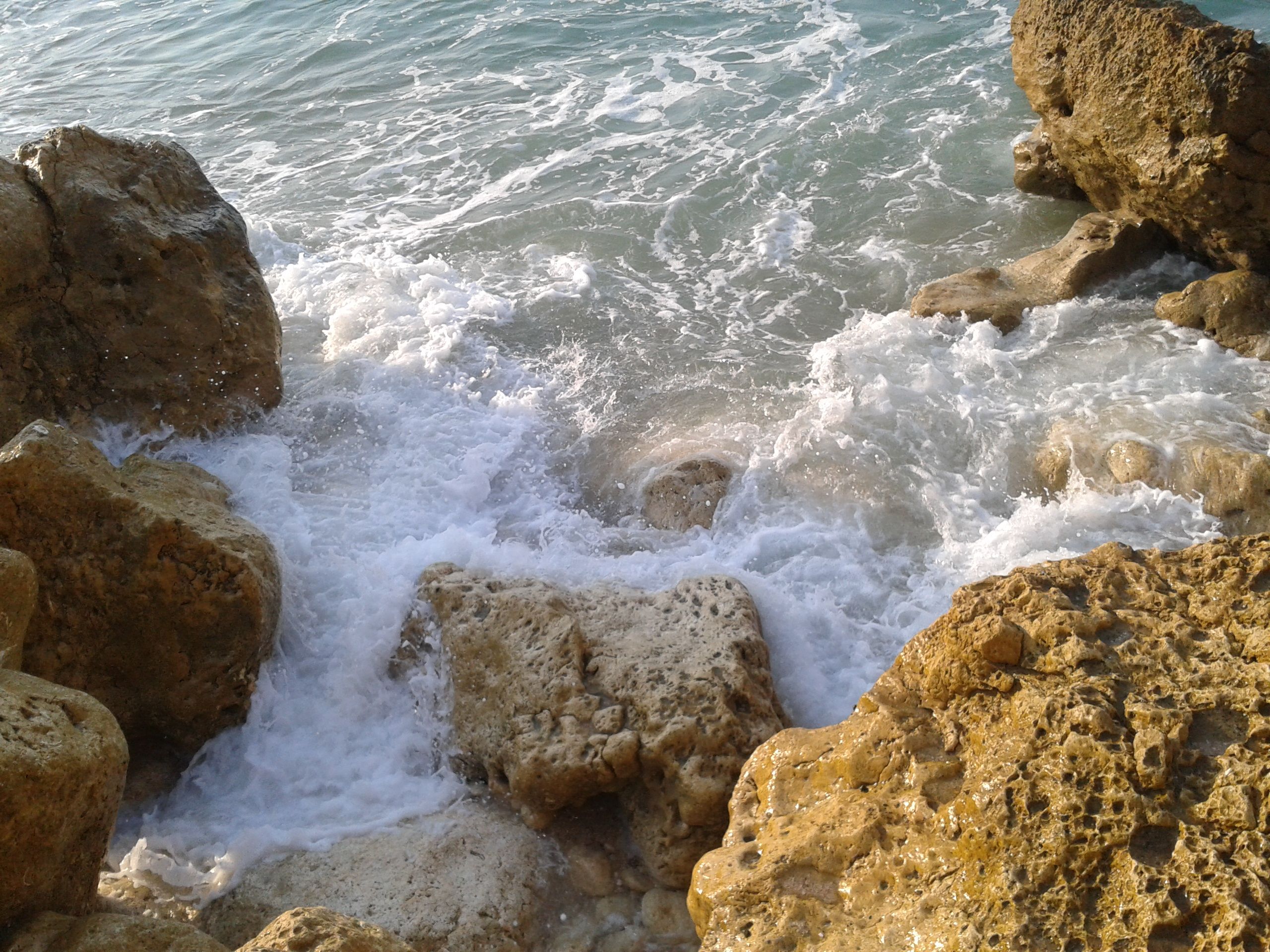 2011-10-19 09.12.50.jpg