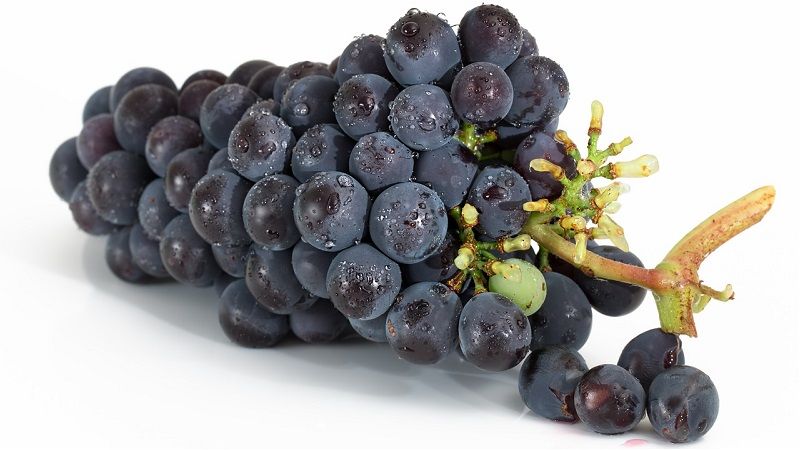 grapes-2032838_1280.jpg