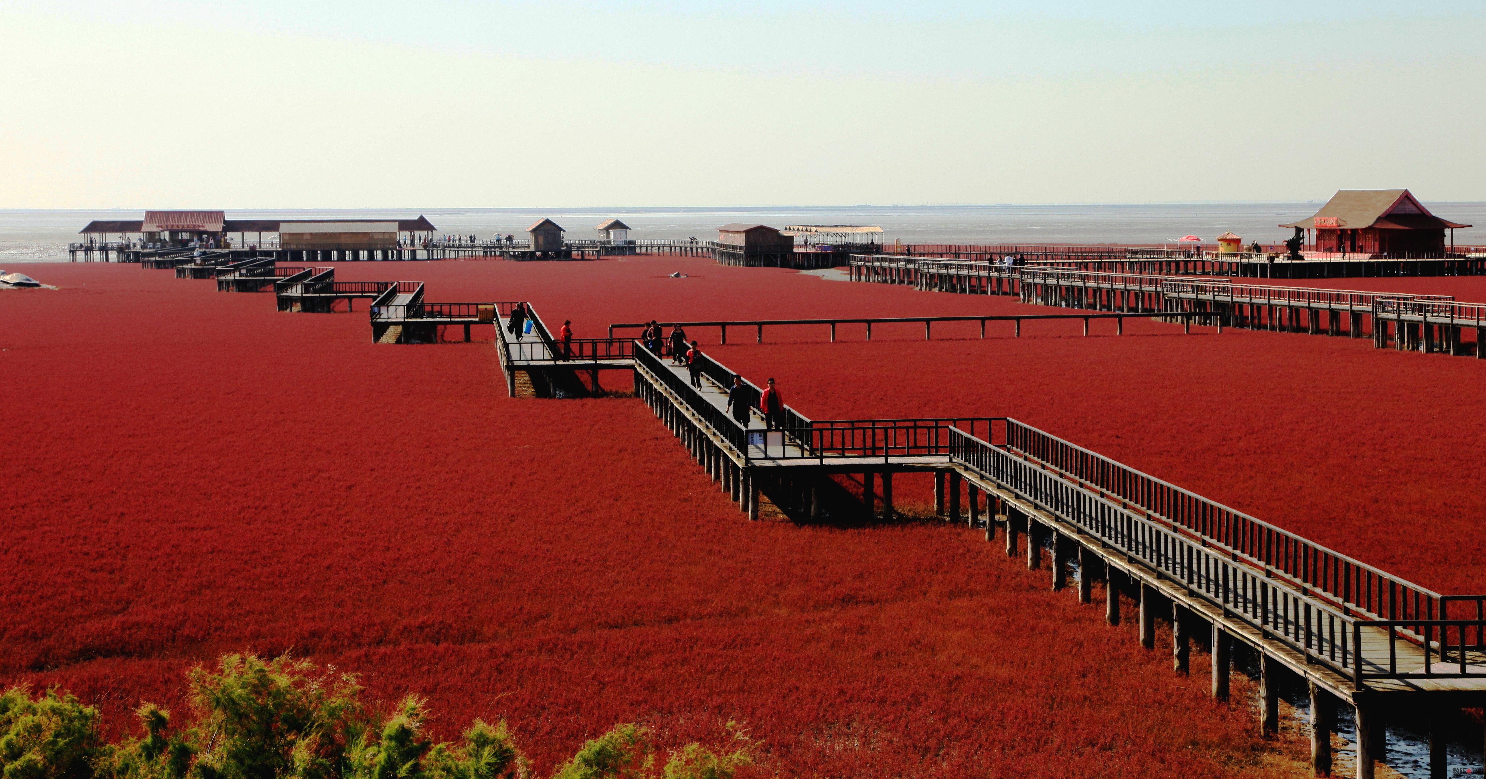 red-beach-china.jpg