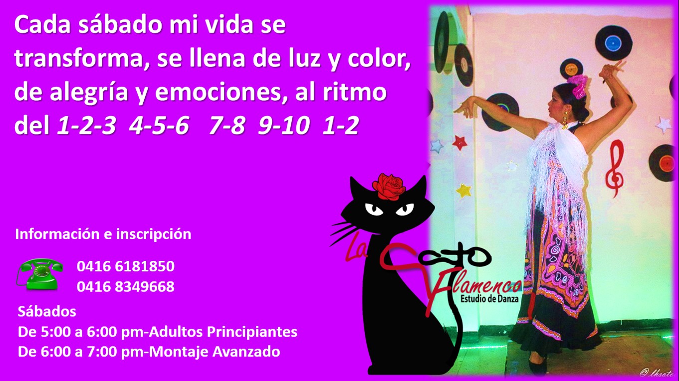 Promo luz y color-La Gato Flamenco.jpg