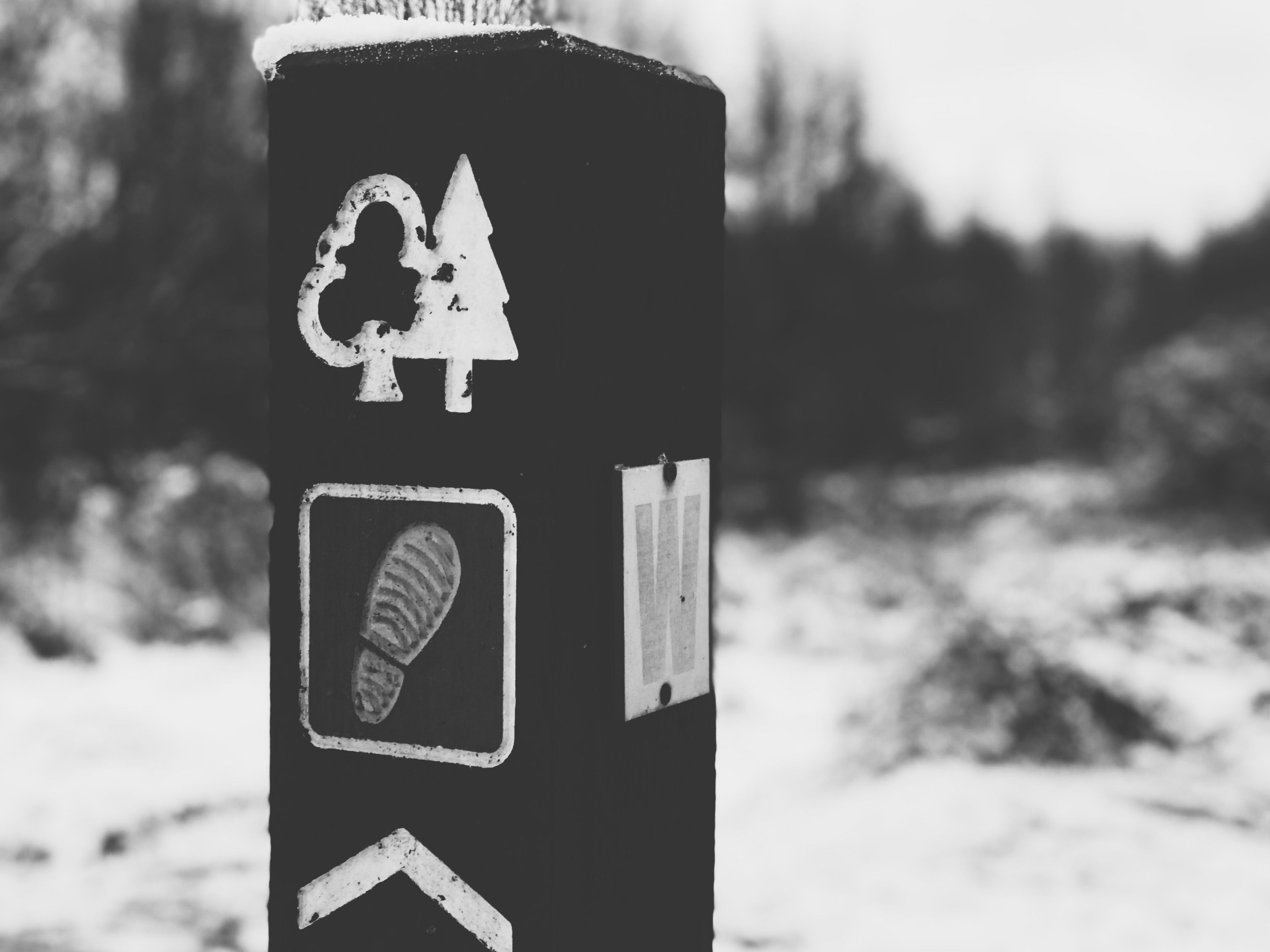 VSCO Cam-1-2.jpg