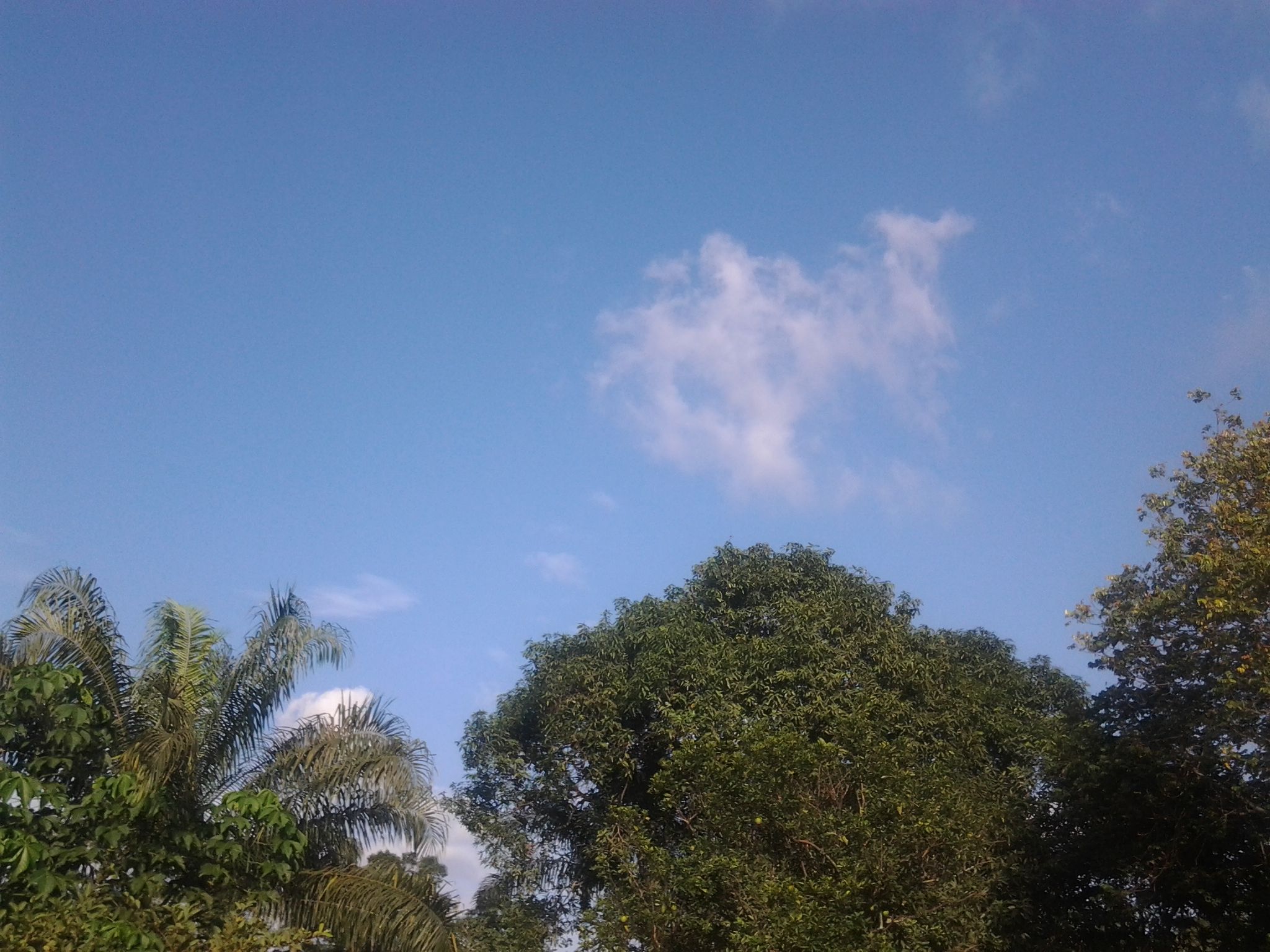 20160917_170024.jpg