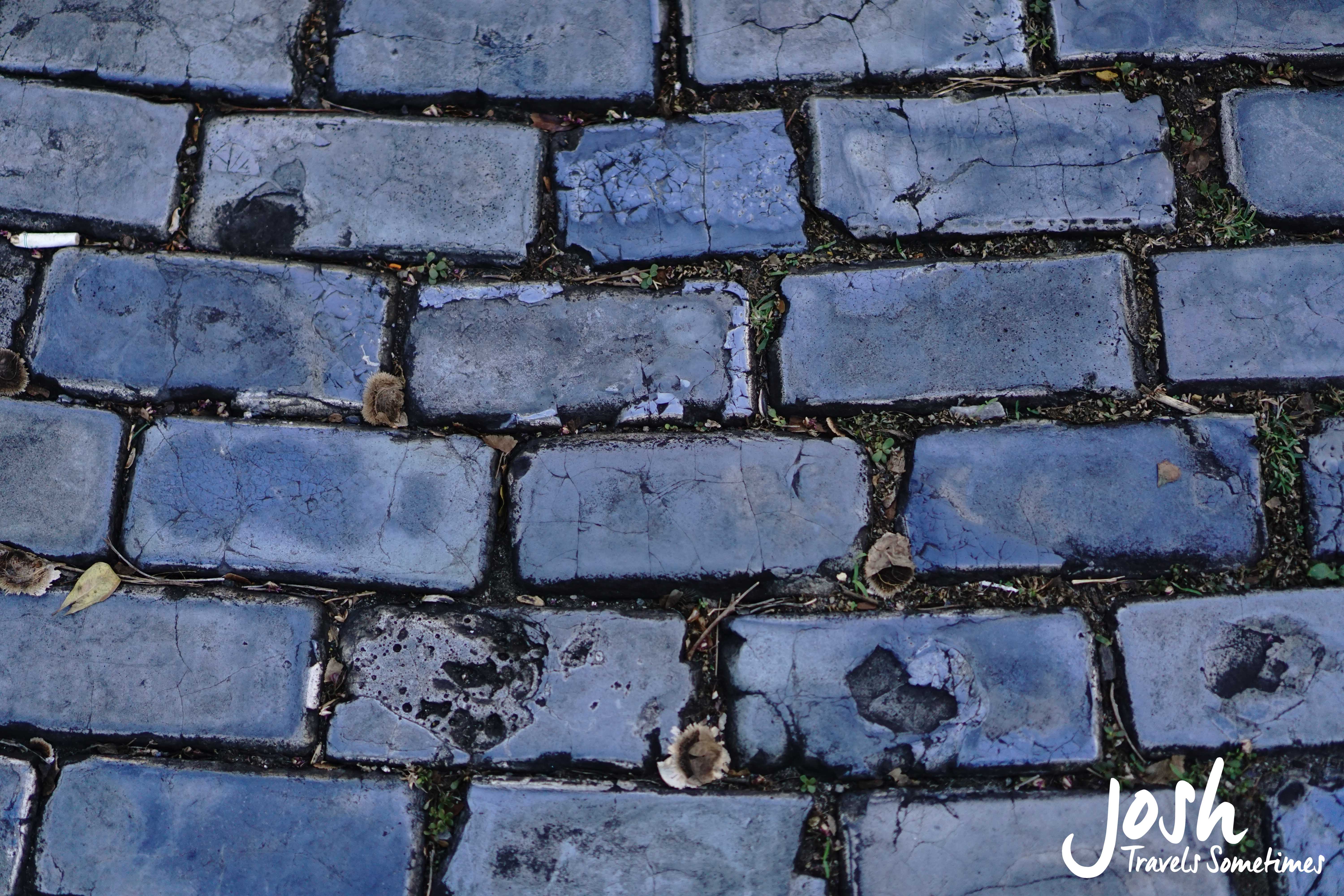 Puerto Rico JTS-01263.jpg