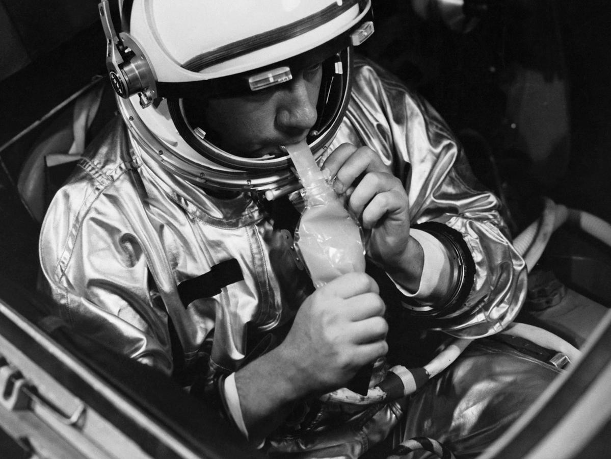 gemini astronaut.jpg