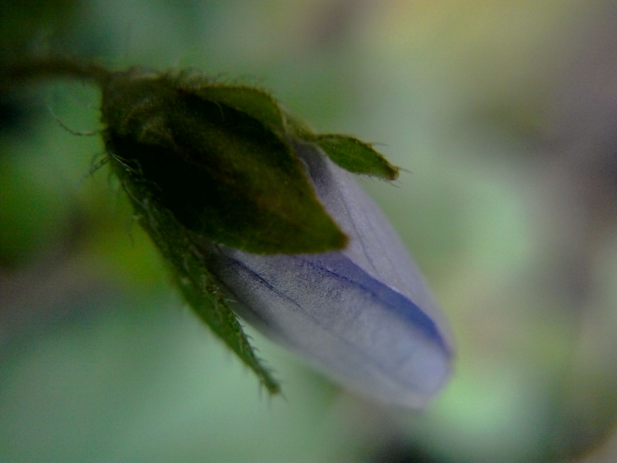 Img 042.jpg