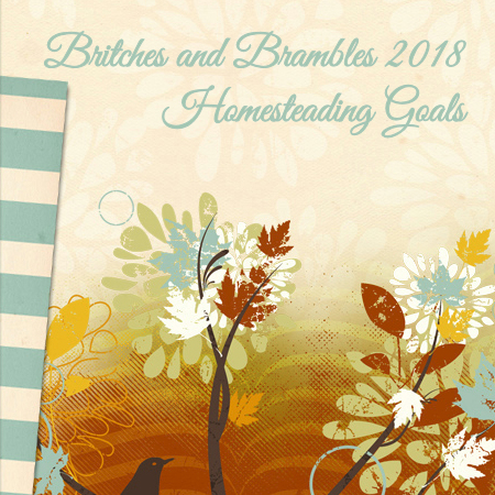 Britches 2018 Homestead Goals.jpg