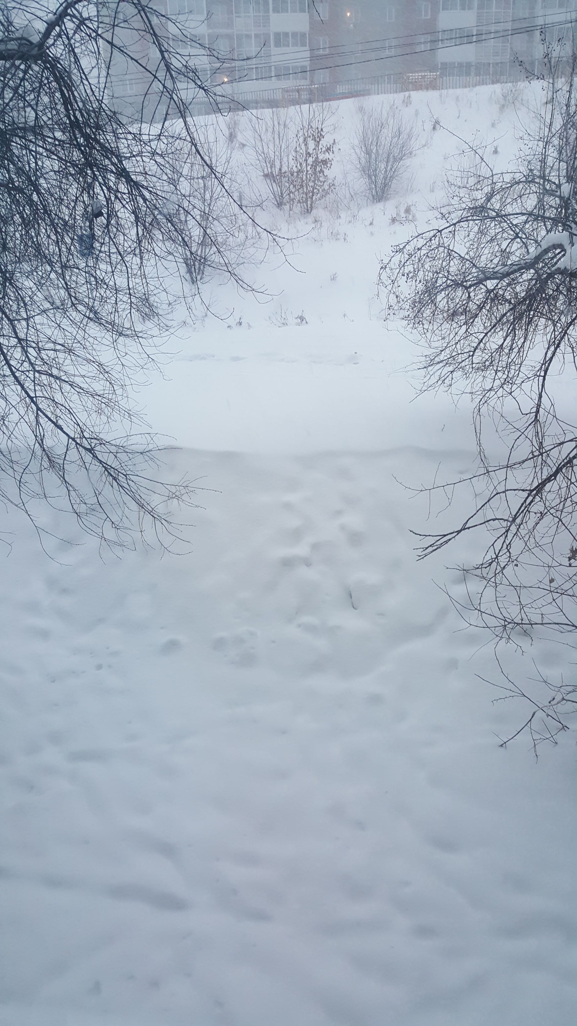 IMG-20171217-WA0005.jpeg
