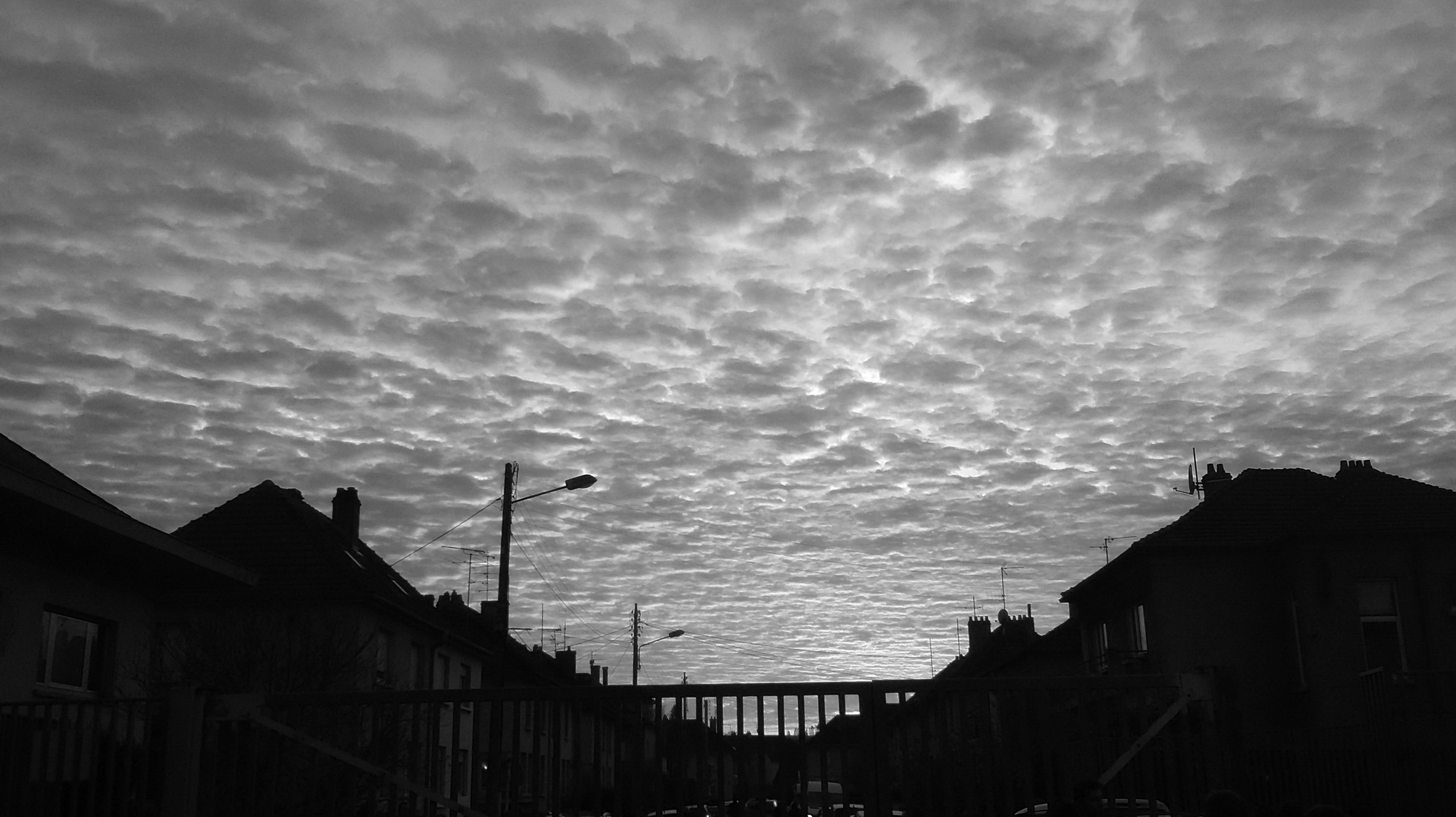 20161209_164906.jpg