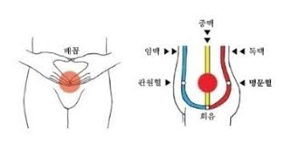 다운로드.jpg