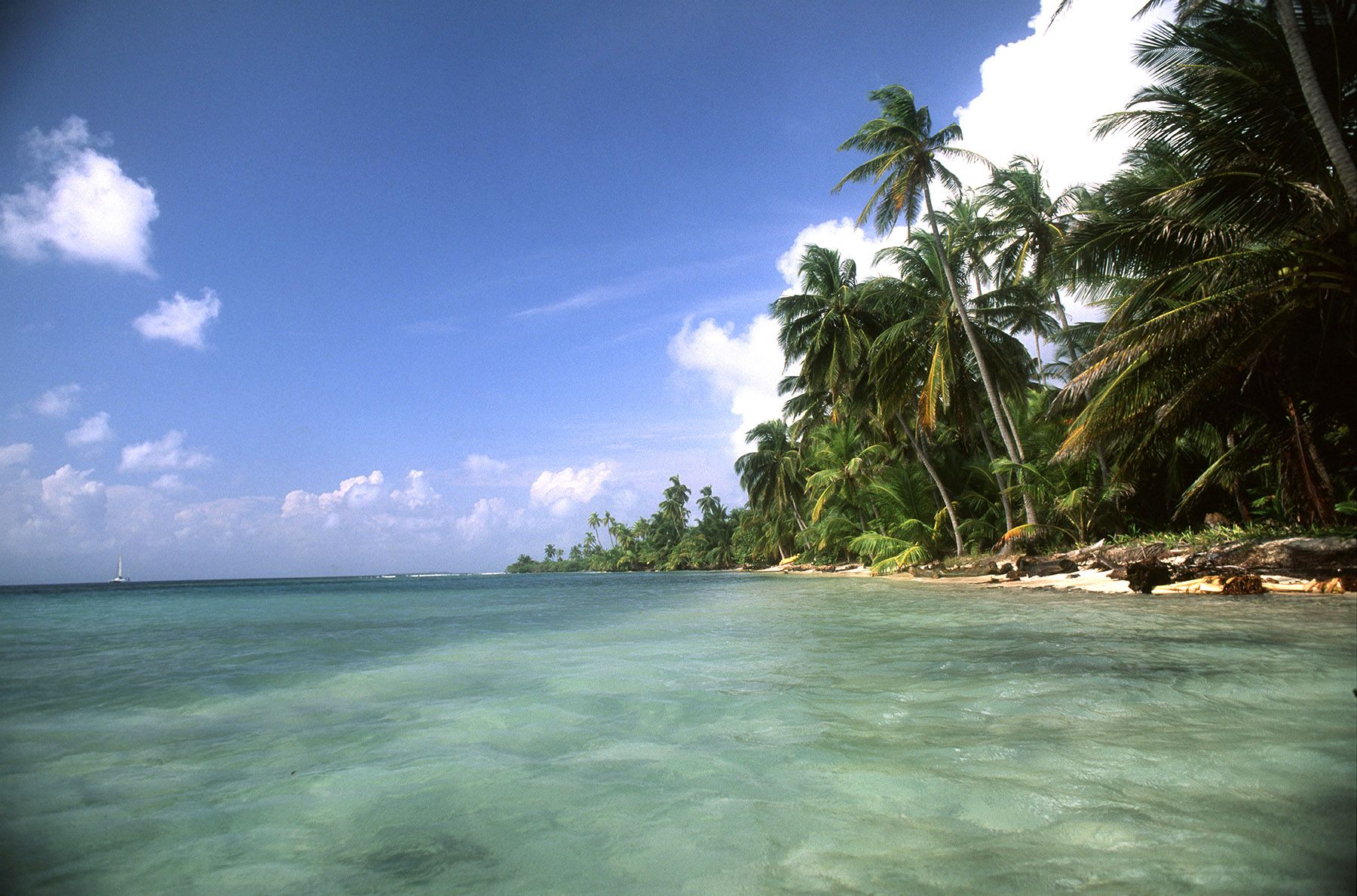 SAN BLAS VELVIA20.jpg