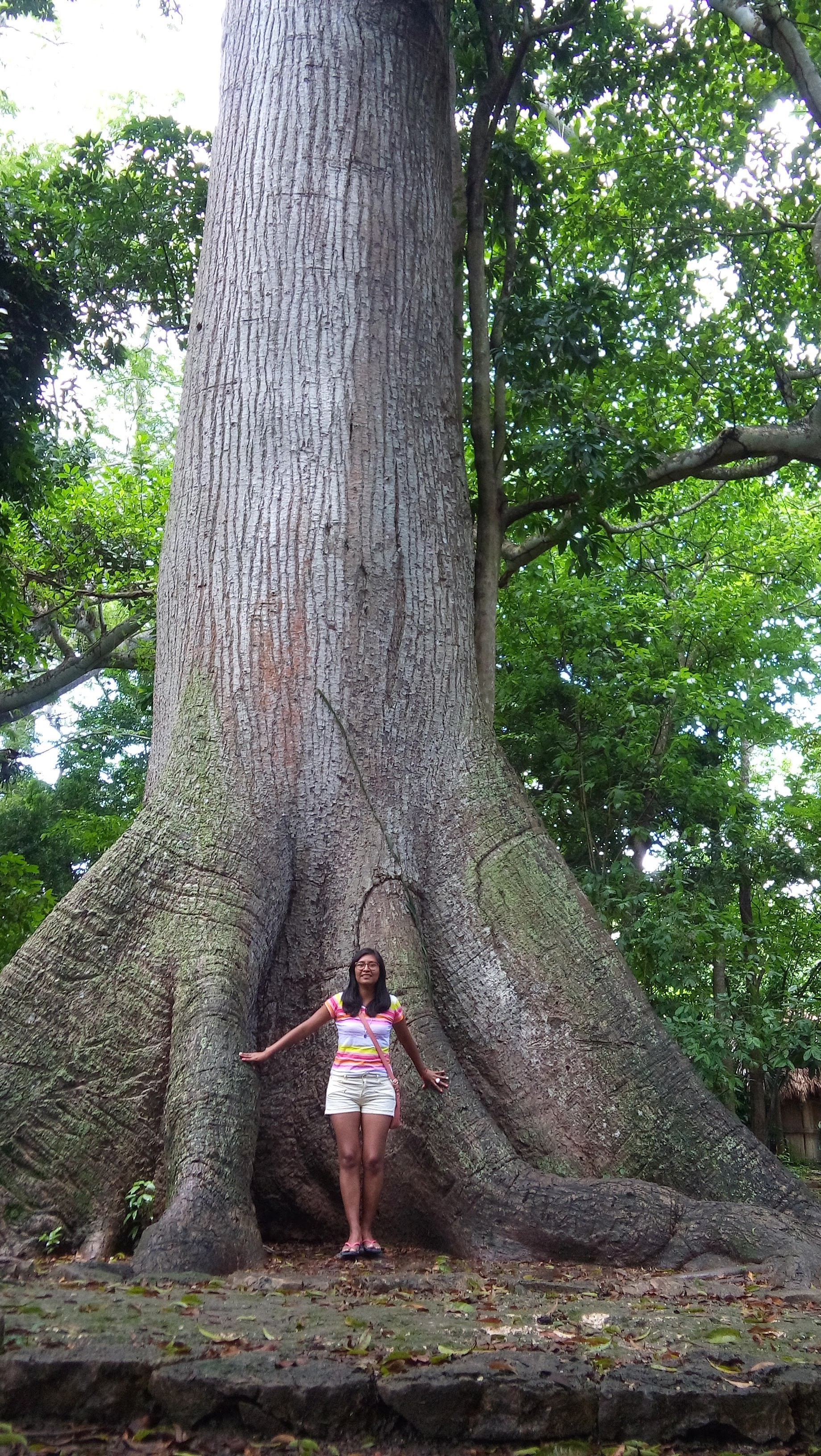 20160727_134552.jpg