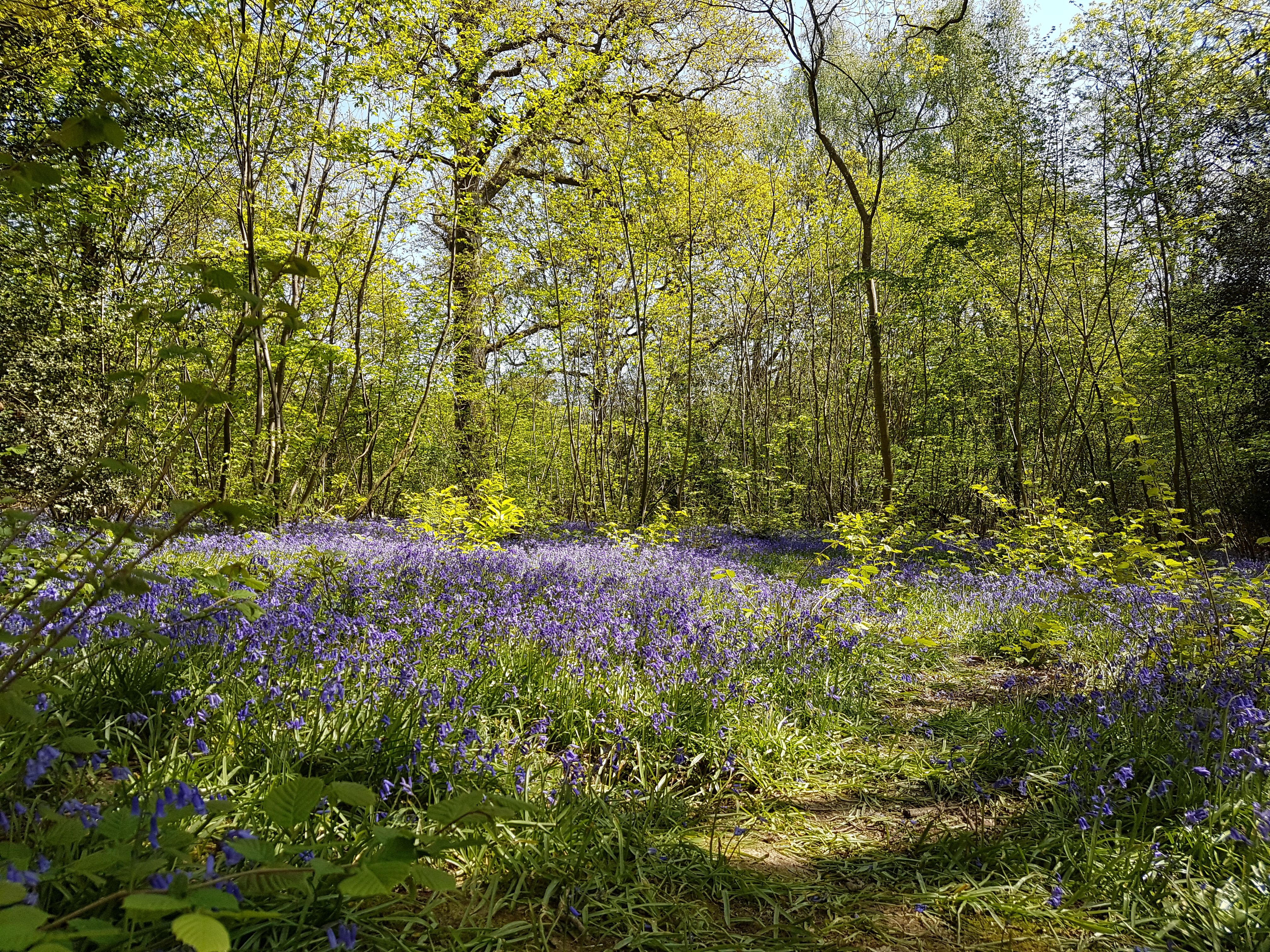 2018-05-06 12.54.17.jpg