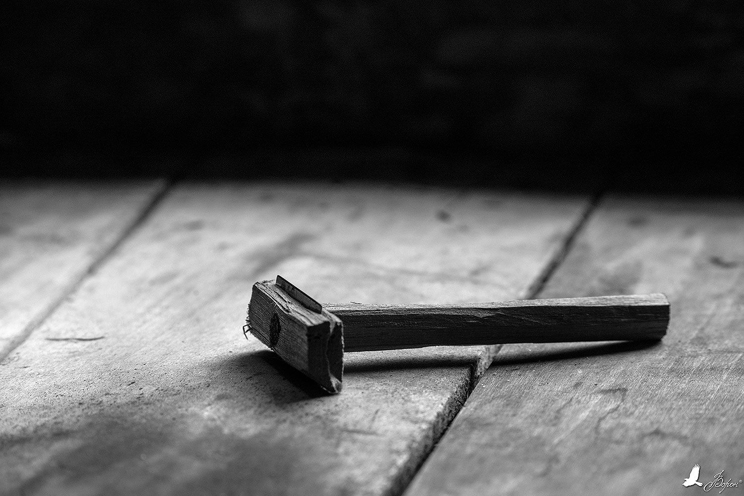 WRX_7677BW.jpg