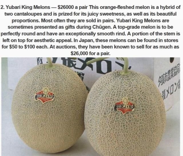 the-priciest-king-melons-s640x545-437687-1020.jpg