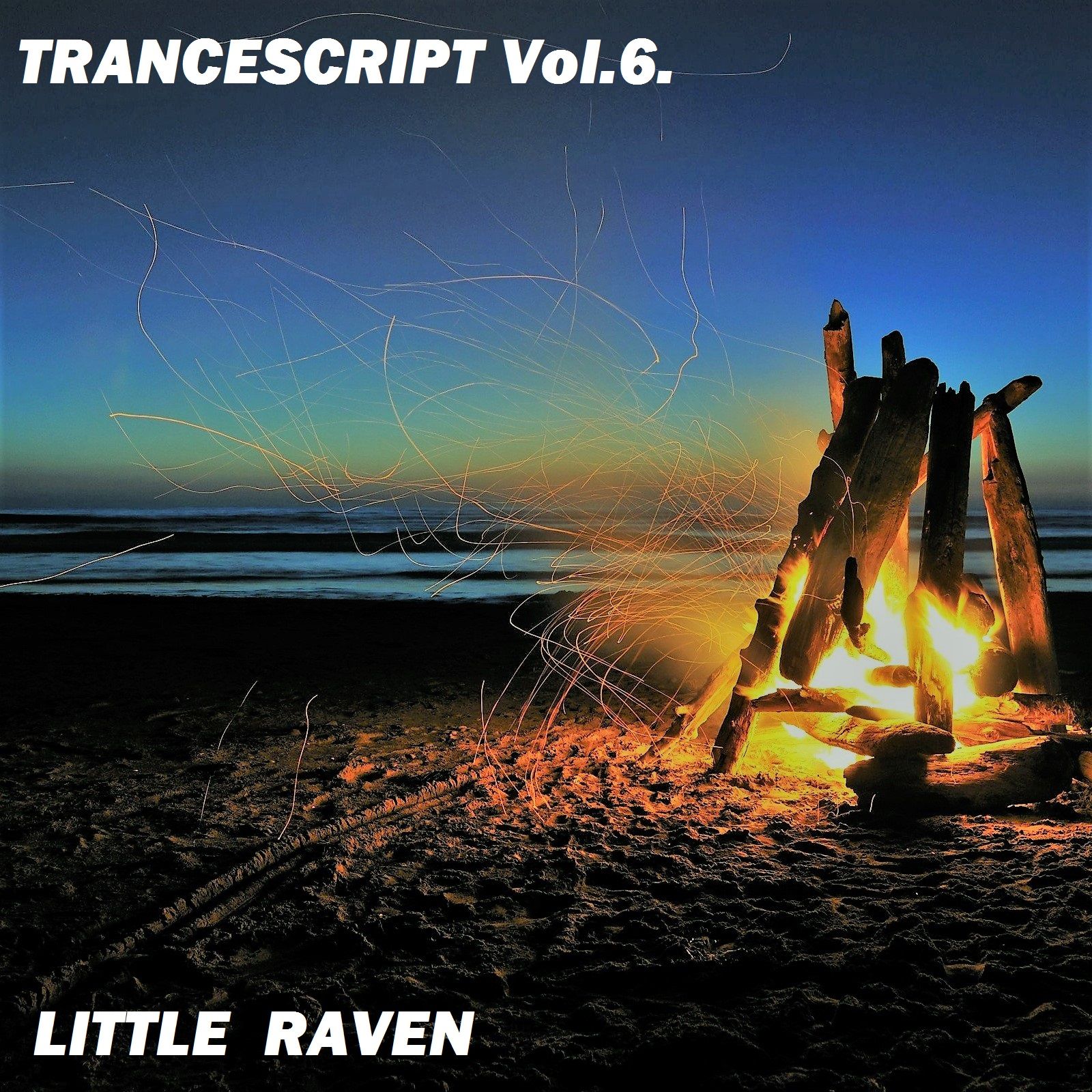 TRANCESCRIPT VOL.6.jpg