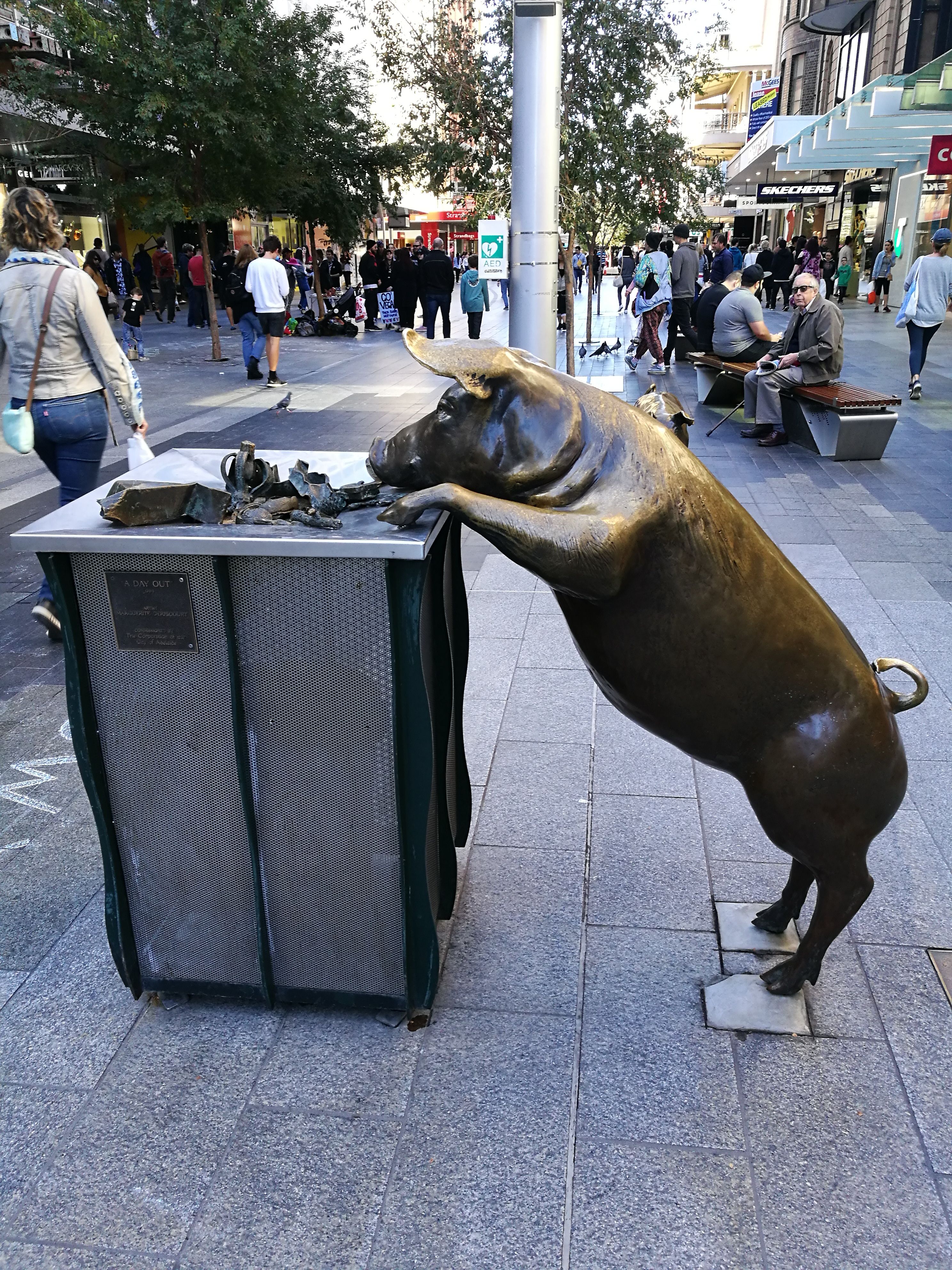 skechers rundle mall