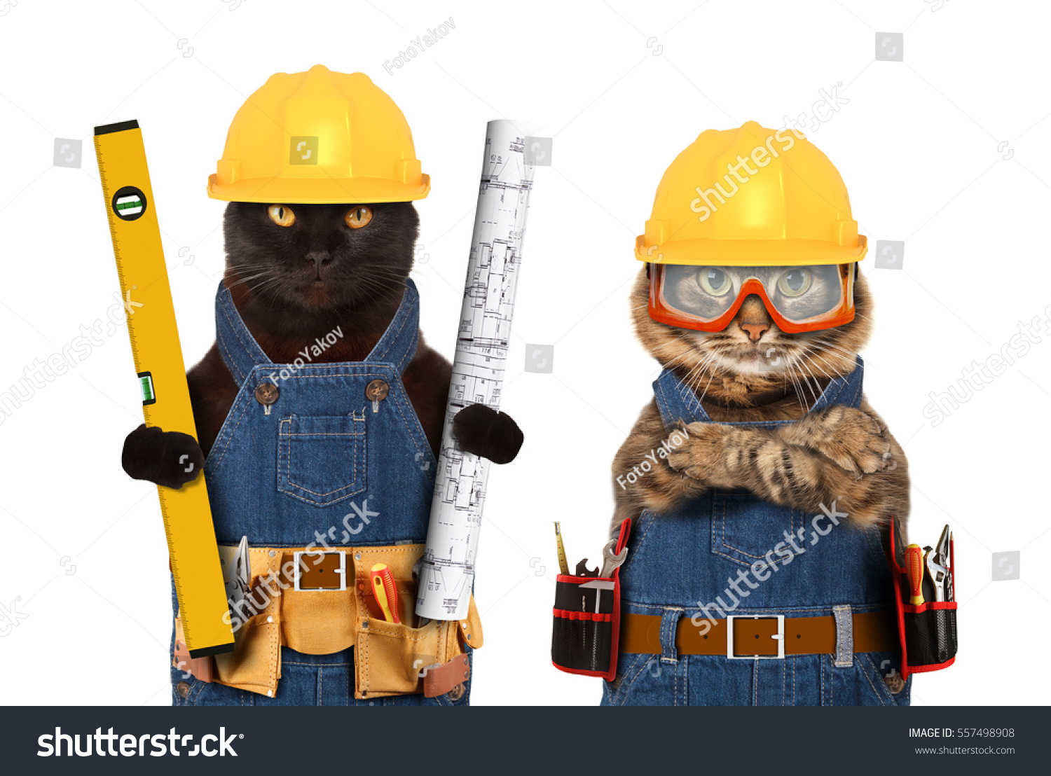 stock-photo-funny-cats-are-wearing-a-suit-of-builder-and-holding-a-builder-s-level-and-project-plan-craftsman-557498908.jpg