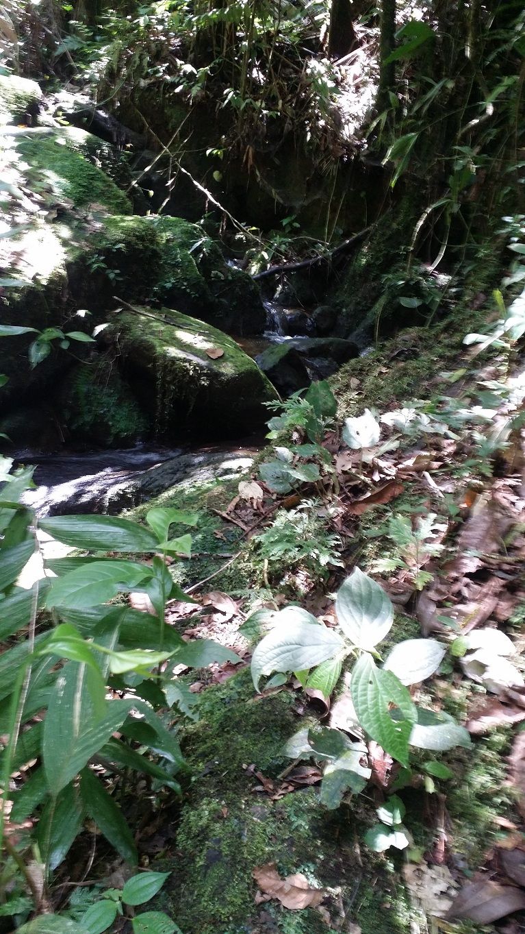 15 - Climb along waterfall continues rock jumping nature reserve.jpg