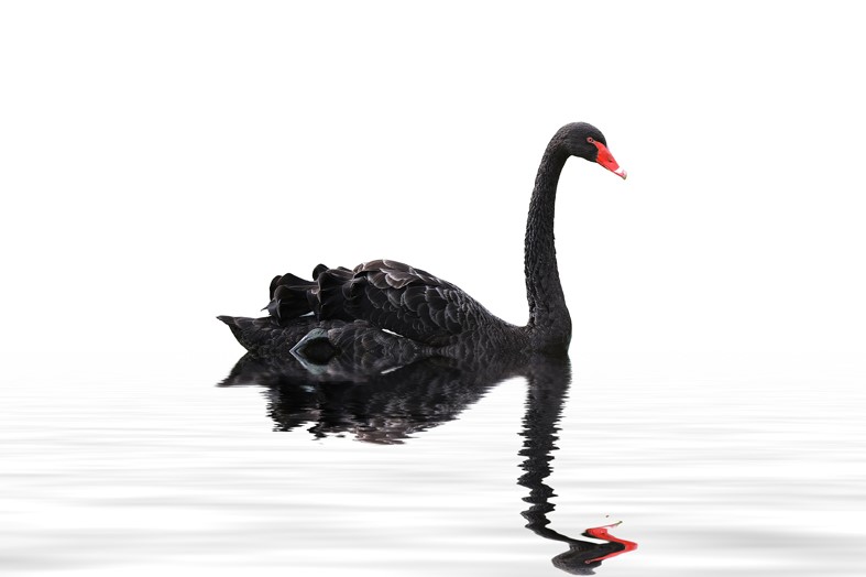 The United States recognizes the importance of studying and preparing for events such as the Black Swan.