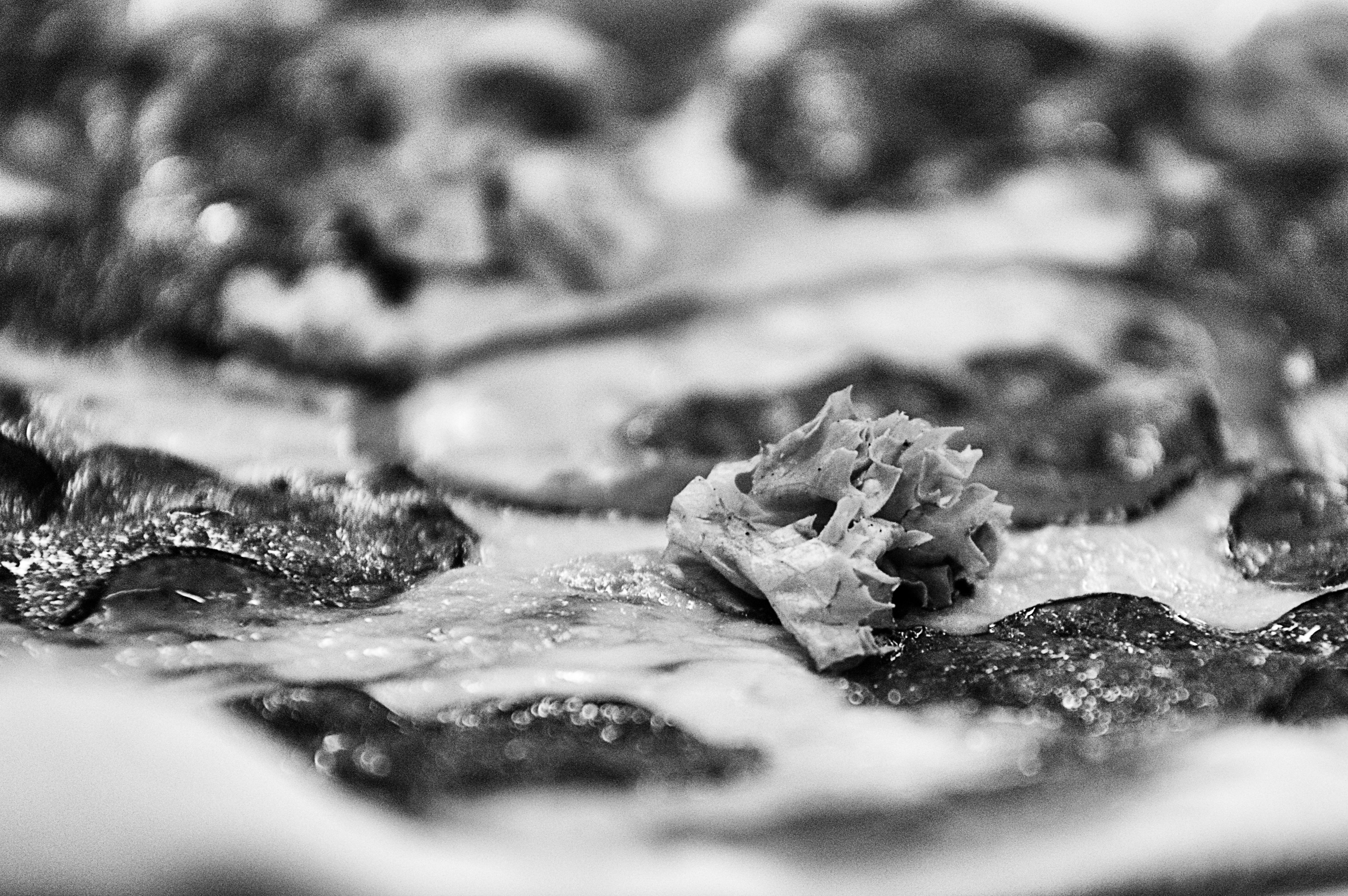 DSC_0033 (7)_Snapseedм.jpg