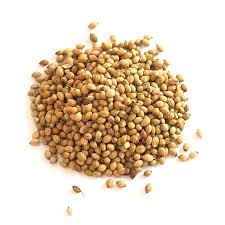 coriander.jpg