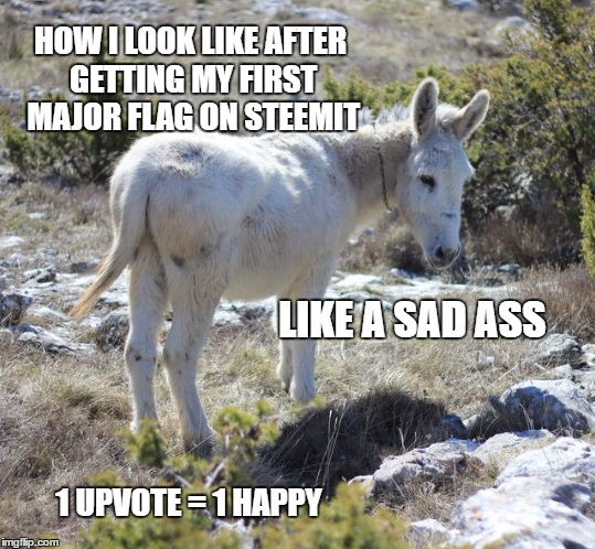 meme-challenge-8-entry-1-feeling-forlorn-from-flagging-steemit