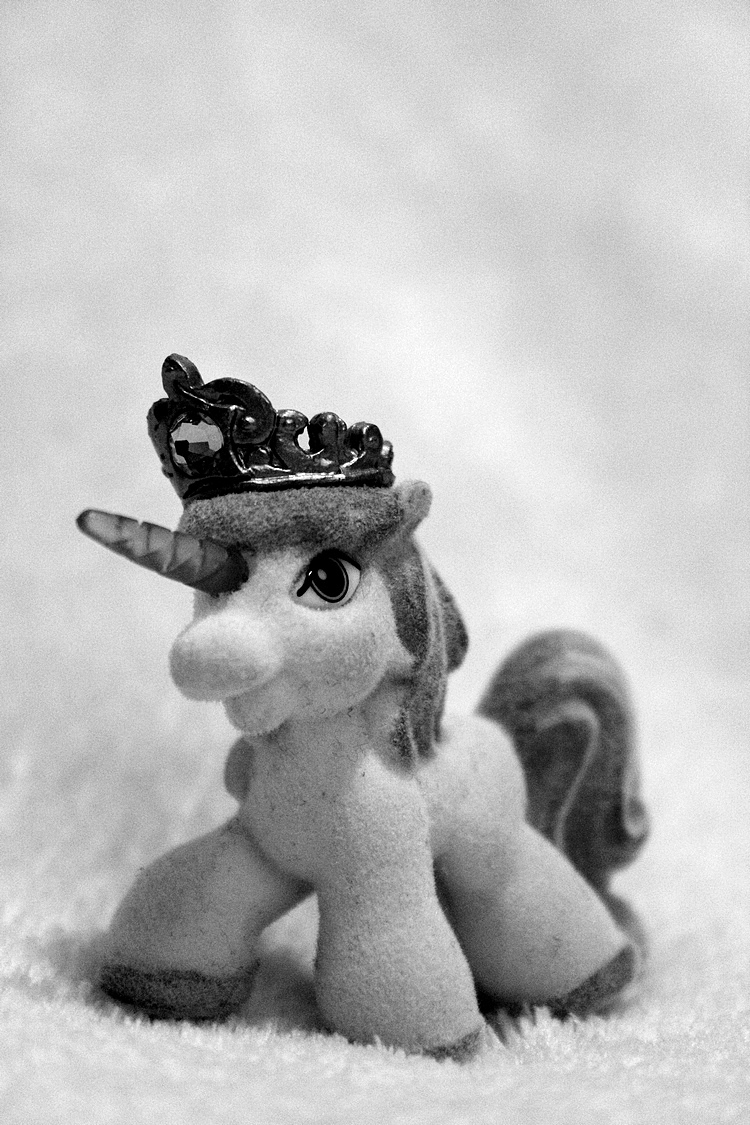 Unicorn02-IMG_5515-bw-steemit.JPG