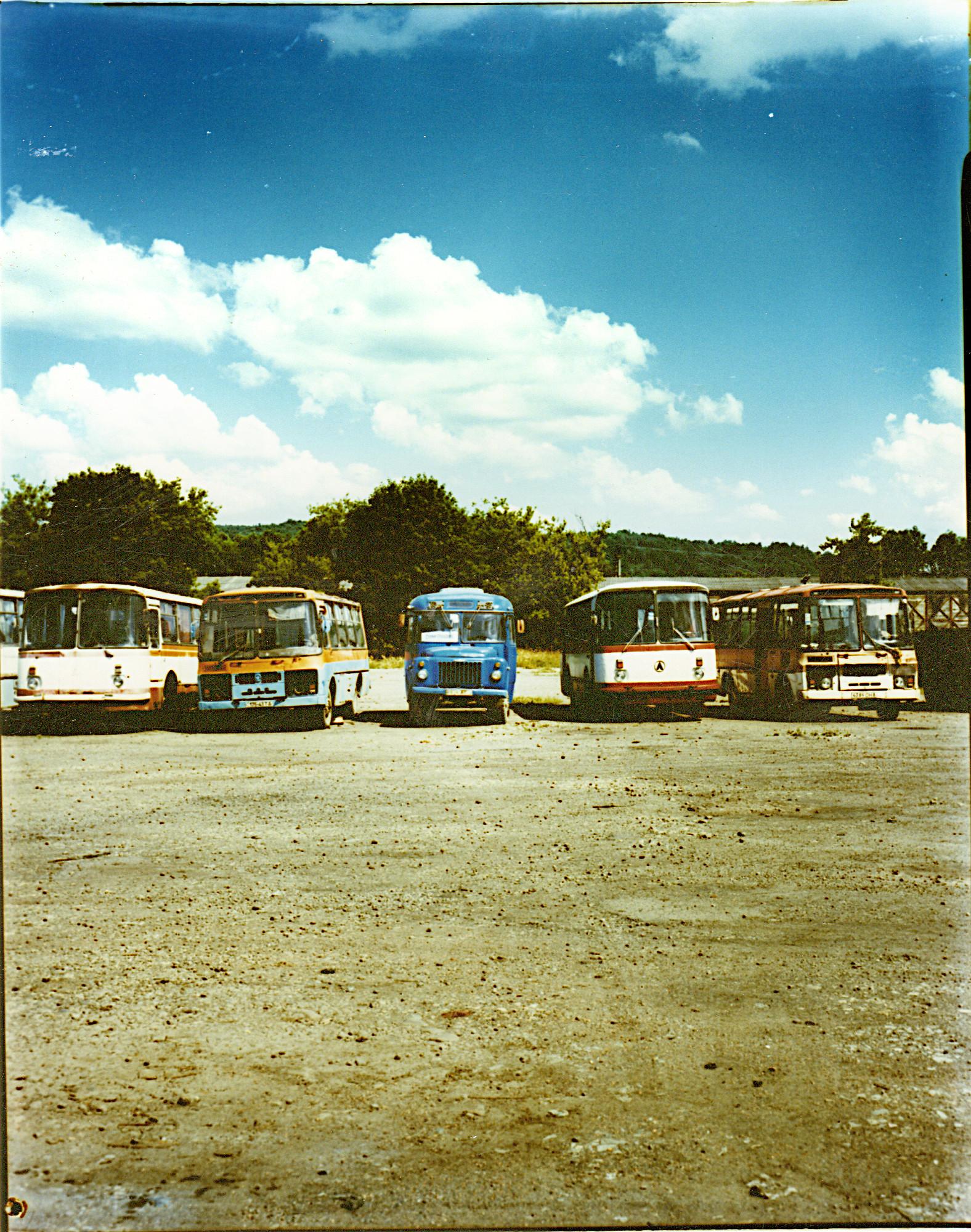 Busses001.jpg